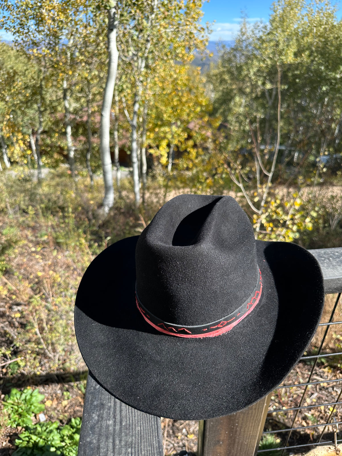 The Midnight Mayhem Black Rabbit Fur Cowboy Hat